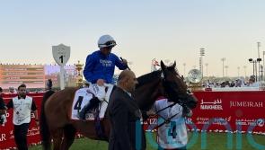 Bin Suroor has French plan on the radar for Dubai Future