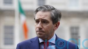 Search for new markets for Irish goods ‘must go on’, says deputy premier Harris
