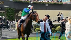 Greenham run likely to define Rashabar’s Classic target