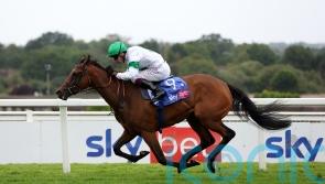 Tamfana back in action at Sandown on Friday