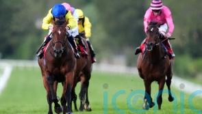 Almaqam returns to the scene of his finest hour so far