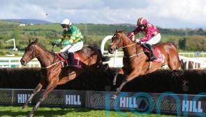 Spillane’s Tower out to enhance impressive Punchestown record