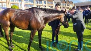 Henderson left to &lsquo;unravel the mystery&rsquo; with Constitution Hill