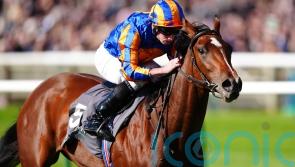 Aidan O’Brien’s beaten Guineas pair to aim for Curragh redemption