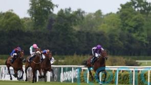 Dermot Weld mulling Derby options for Purview