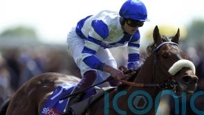 Almosh’her sets up Ebor bid with winning debut for Burke