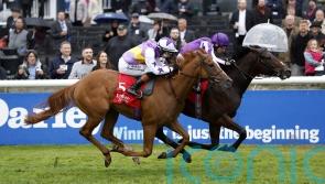 Stanhope Gardens could book his Derby ticket on Saturday