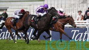 ‘Very special’ Albert Einstein has all the answers at the Curragh
