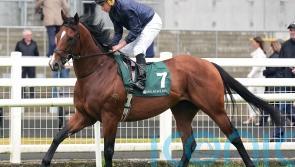 O’Brien keeping the faith with Storm Boy