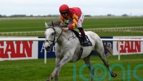 Prince of Wales’s Stakes an option for White Birch