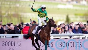 Gold Cup one-two share top jumps billing