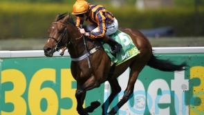 Jockey plans still to be made for Dancing Gemini