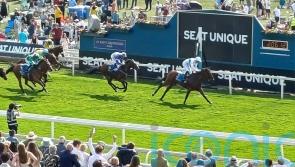 Burrito proves tasty for favourite-backers on the Knavesmire
