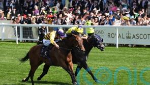 American Affair takes ‘magical’ King Charles sprint glory for Scotland