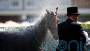 No weather worries for O’Brien as temperatures rise at Ascot