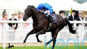 Rebel’s Romance digs deep for Hardwicke honours