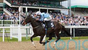 Ellison hopeful of bold Plate defence from Onesmoothoperator, despite weighty burden