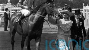Steve Cauthen salutes ‘mentor’ Barry Hills with memories of special relationship