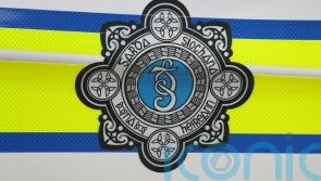 Man and woman in their 80s found dead in Cork home
