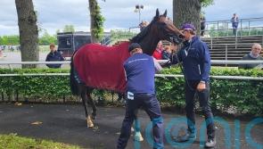 O’Brien hoping Daytona can secure ‘special’ Naas success