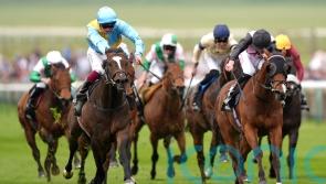 Davison backing She’s Quality to Charge to Sandown glory