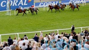 Blue Bolt strikes in Distaff heat