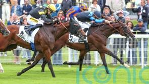 Maranoa Charlie on course for City of York test