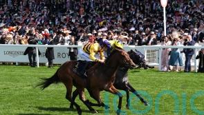 Goldie focusing on Breeders’ Cup date with American Affair