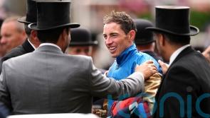Doyle banking on Bermuda to turn up the heat at Newmarket