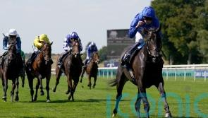 Cinderella’s Dream takes top spot in Falmouth Stakes