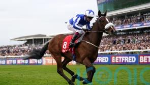 Fox Legacy too smart in John Smith’s Cup