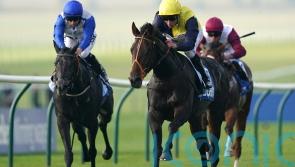 Pontefract repeat could be next on Point Lynas’ agenda
