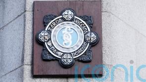 Two teenagers arrested after firearm discharged in Mullingar