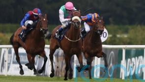 All eyes on Purview in Leopardstown’s Meld Stakes