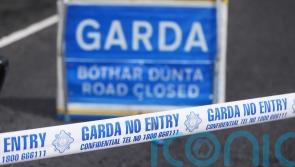 Gardai appeal for witnesses after serious crash in Roscommon