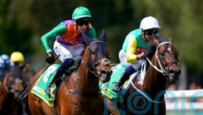 Williams believes Quinault has ‘more to offer’ at York