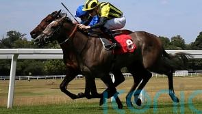Staya firmly on course for Lowther test