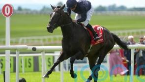 Lambourn still ‘definitely’ in the Voltigeur mix, says O’Brien