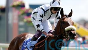 Al Qareem out for another York raid in the Lonsdale Cup