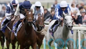 York Eyecatcher America Queen can reign eventually