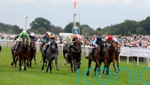 Ain’t Nobody proves 100-1 odds wide of the mark with brave Nunthorpe effort