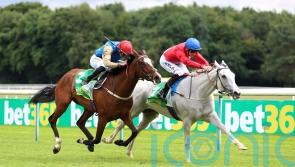 Paris or Ascot assignments will come into view for Estrange