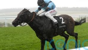 William Haggas ‘gutted’ as setback scuppers Merchant’s Arc hopes