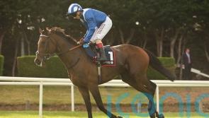 &lsquo;Absolute blinder&rsquo; of a run sets Anmaat up for Ascot defence