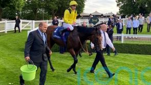 Ed Walker favouring Arc challenge for Almaqam