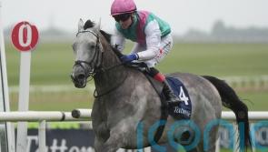 Field Of Gold ‘very much on track’ to make QEII return