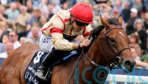 Ain&rsquo;t Nobody captains Kevin Ryan&rsquo;s Ayr Gold Cup team