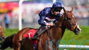 Pendragon &lsquo;unlikely&rsquo; to take Cesarewitch chance