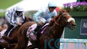 Andrea Azteni booked for Giavellotto Arc tilt