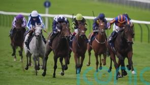 Breeders’ Cup emerges as possibility for Havana Anna